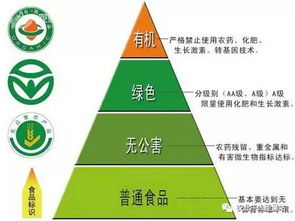 政策重磅！決定農化行業未來十年走向的國家級政策與人工智能雙創服務平臺